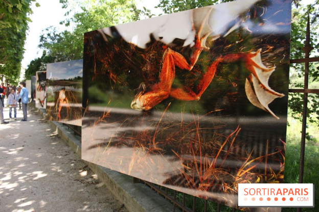 Exposition Planète Grenouille par Cyril Ruoso au Jardin des Plantes