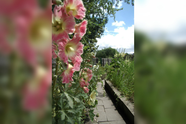 jardins passagers, parc de la villette