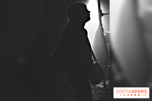 Festival Astropolis 2013