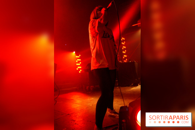 Festival Astropolis 2013