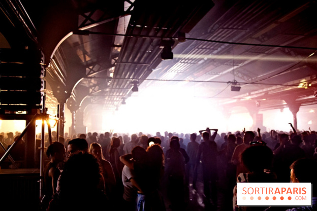 The Peacock Society 2013