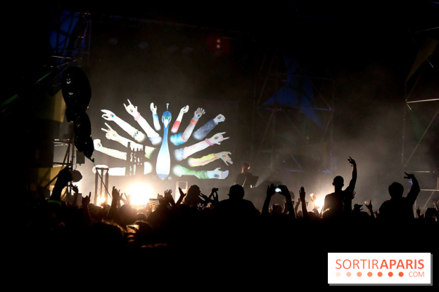 The Peacock Society 2013