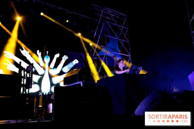 The Peacock Society 2013