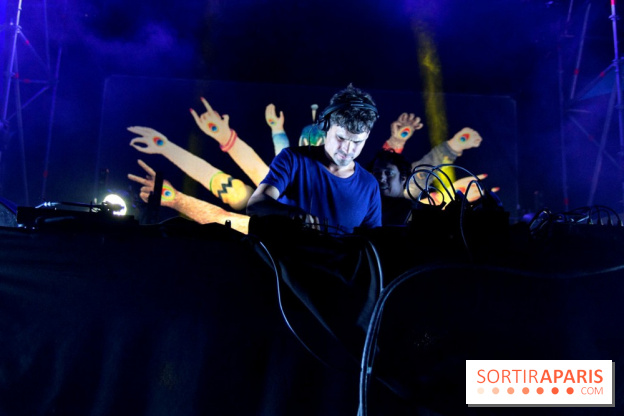 The Peacock Society 2013