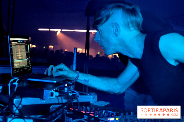 The Peacock Society 2013