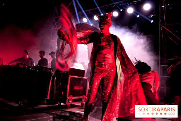 The Peacock Society 2013