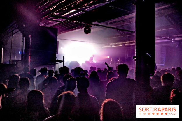 The Peacock Society 2013