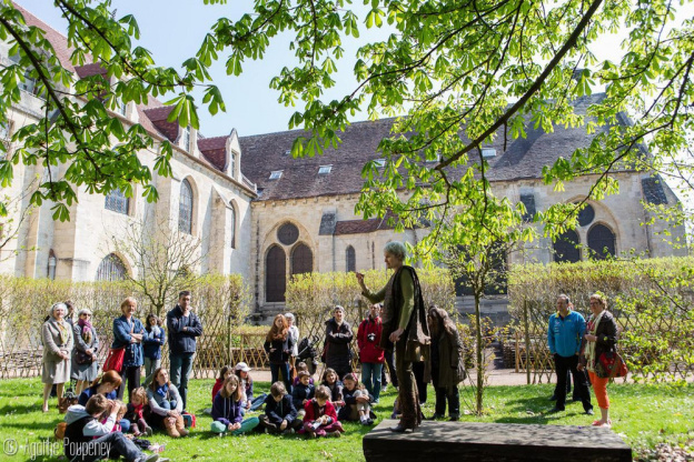 Saison Musicale en Famille