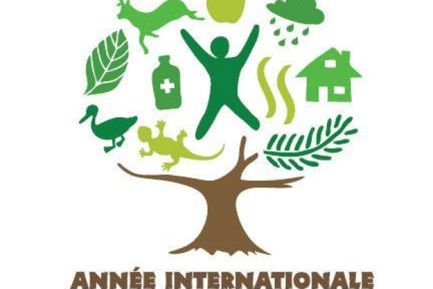 Arbres et Forêts, Jardin des Plantes, exposition, année internationale des forêts