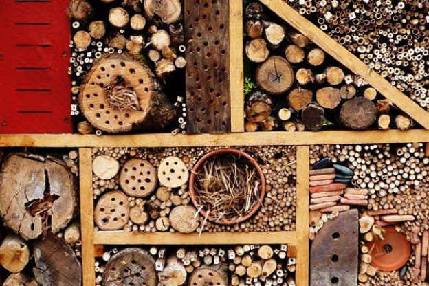 Atelier de fabrication, Refuge, Insecte