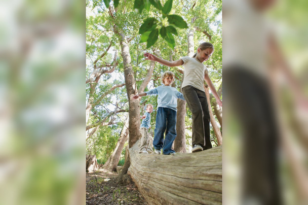 Promenons-nous dans les bois, Nature & Découvertes
