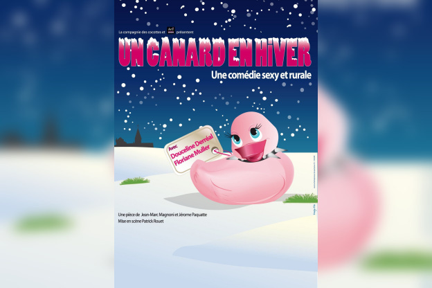 canard en hiver