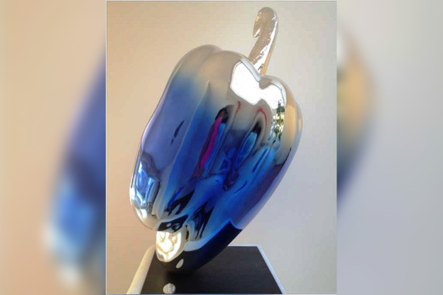 Exposition « VEGETABLES» par Patrick Laroche