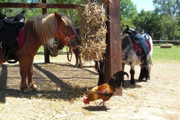 parc hérouval, gisors, parc d'attractions