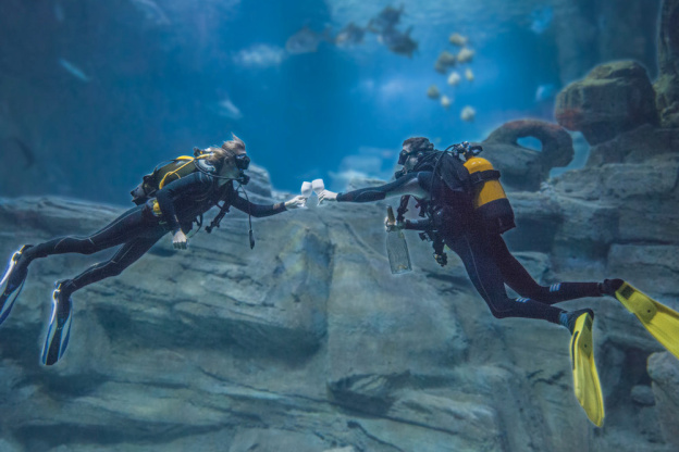 La Night de l'Aquarium de Paris tous les samedis soirs