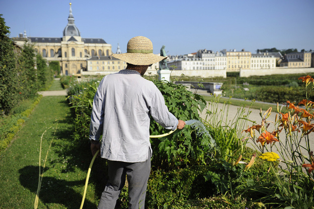 Dîners gastronomiques au Potager du Roi à Versailles