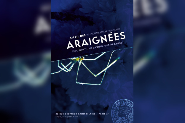 Araignées, Jardin des Plantes, Muséum national d'Histoire Naturelle, 