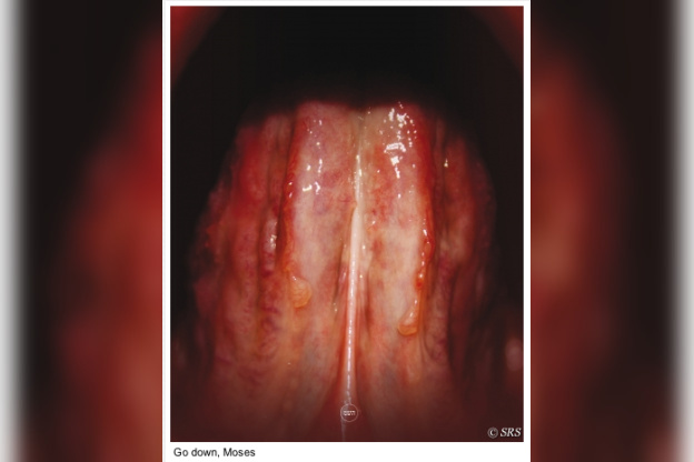 Portrait Roméo Castellucci : Go down, Moses, au Théâtre de la Ville