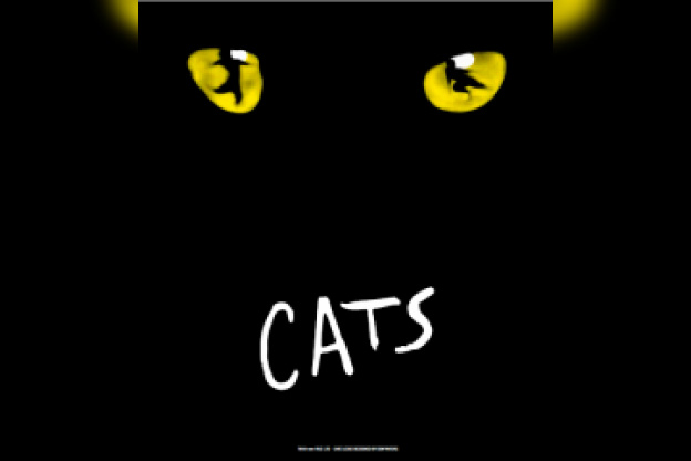 cats mogador