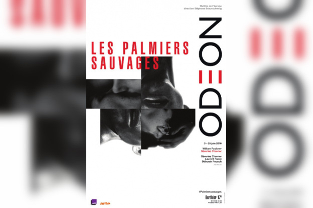 les palmiers sauvages