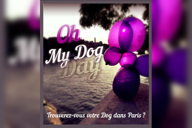 dog day, le lacher de balloon by expo in the city