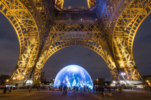 forêt de sapins sous la Tour Eiffel