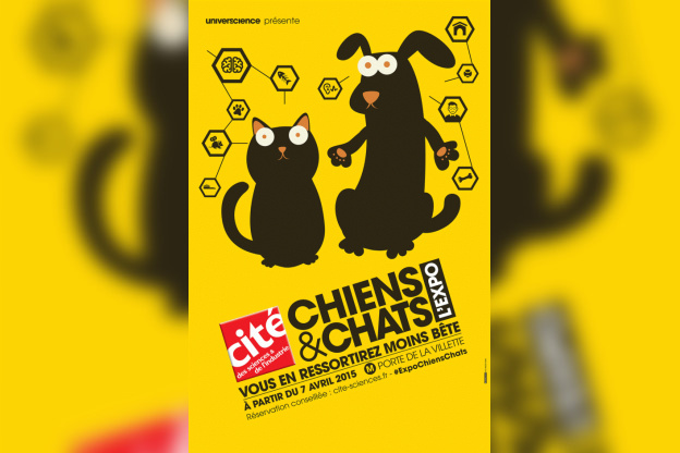 Chiens et chats à la Cité des Sciences