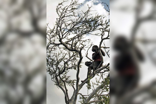 Hadza, les derniers des premiers hommes au Jardin des Plantes