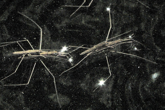 Nuit Blanche 2020 au Musée Bourdelle