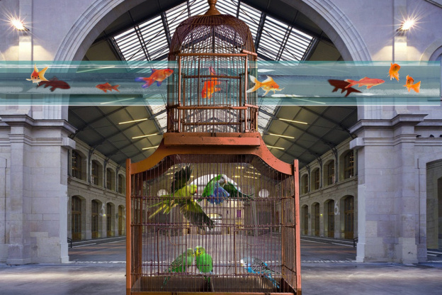 Nuit blanche 2020 : Alain Fleisher au Centquatre