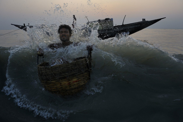 exposition Photo par Nature Jardin des Plantes, exposition photo jardin des Plantes juin 2012, exposition Xavier Desmier paris juin 2012, exposition Xavier Desmier Jardin des Plantes | Pecheurs Dubla ©Xavier-Desmier