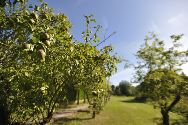 Découvrez le patrimoine culinaire du Val d'Oise au Salon de l'Agriculture