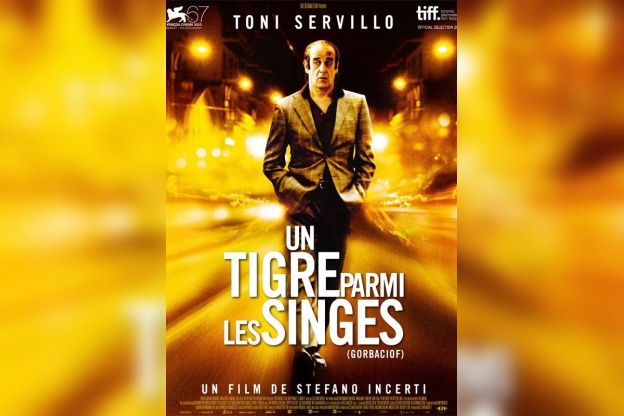 Un tigre parmi les singes