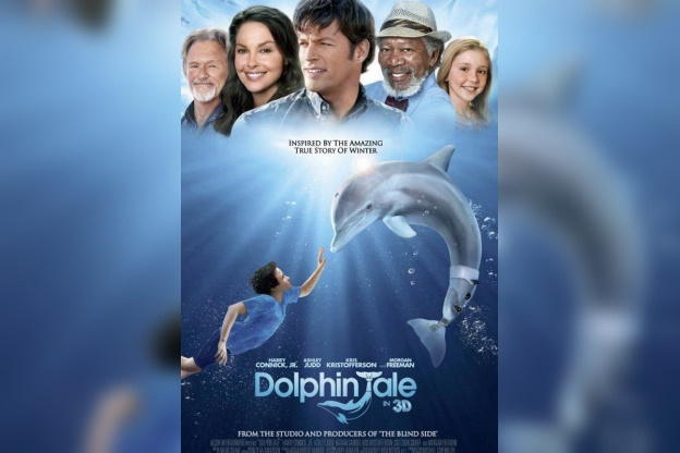 L'incroyable histoire de Winter le dauphin