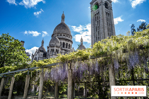 Ou voir les plus belles glycines de Paris, les spots incontournables et cachés - square Marcel Bleustein Blanchet