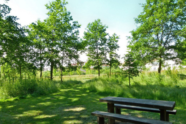 Rendez-vous aux Jardins 2019 au Parc de Groussay