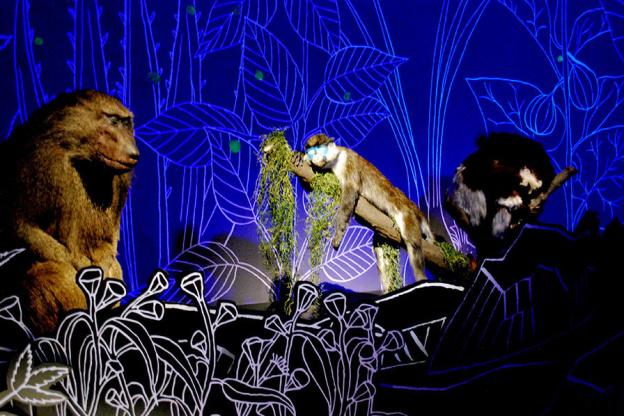 Exposition Nuit au Muséum national d'Histoire naturelle