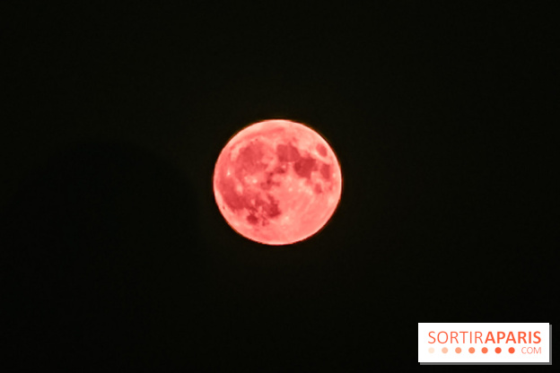 Qu'est-ce que cette micro pleine lune rose, visible dans la nuit du 12 au 13 avril 2025 ? 