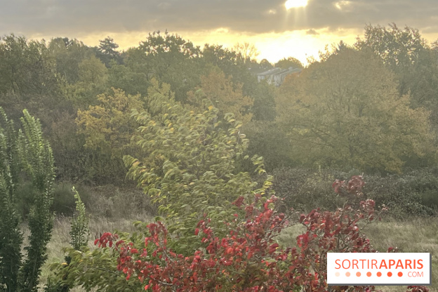 Tempête Benjamin : parcs et jardins fermés en Île-de-France