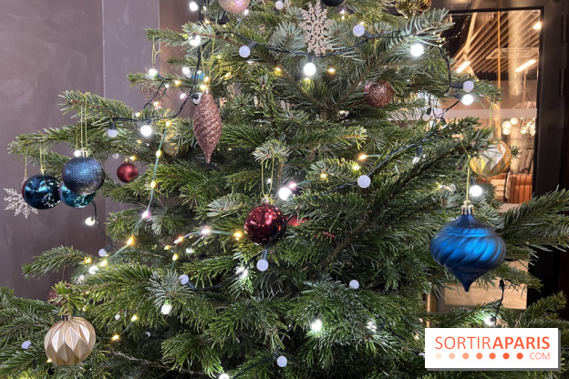 Le Marché de Noël de Thoiry 2025 - 78