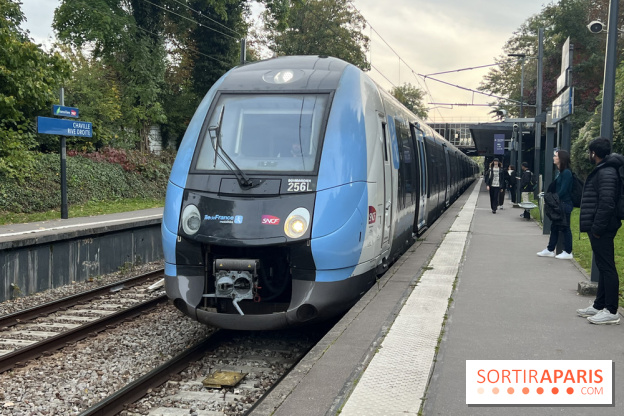 RER C : trafic interrompu entre Val-de-Marne et Essonne suite à un accident