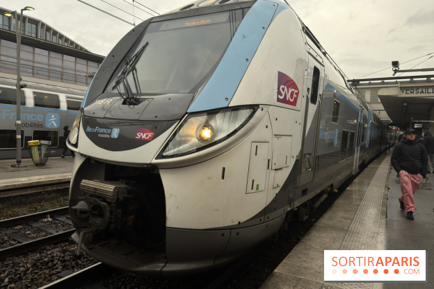 Transports à Paris et en Île-de-France : les perturbations de cette semaine avec la neige et le verglas