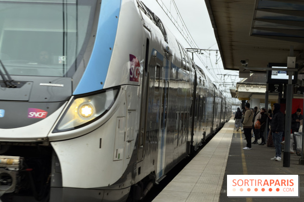 Transports à Paris et en Ile-de-France : les perturbations RER, métro du 26 janvier au 1er février