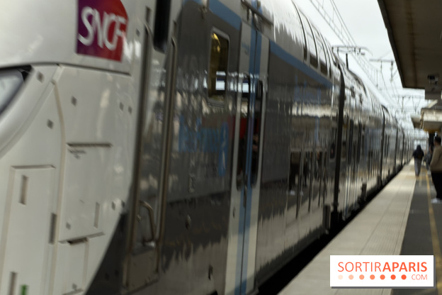 Transports à Paris et en Ile-de-France : les perturbations RER, métro du 9 au 15 février