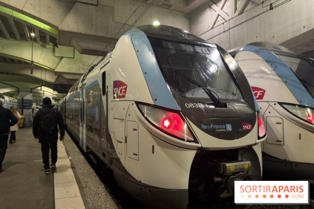 Transports à Paris et en Ile-de-France : les perturbations RER, métro du 16 au 22 février