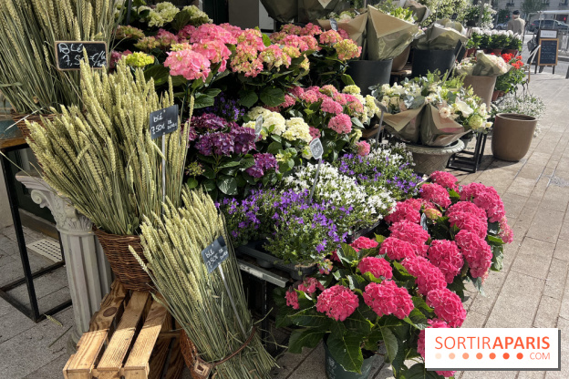 La Fête des Jardins de Sois-y en Essonne 2026