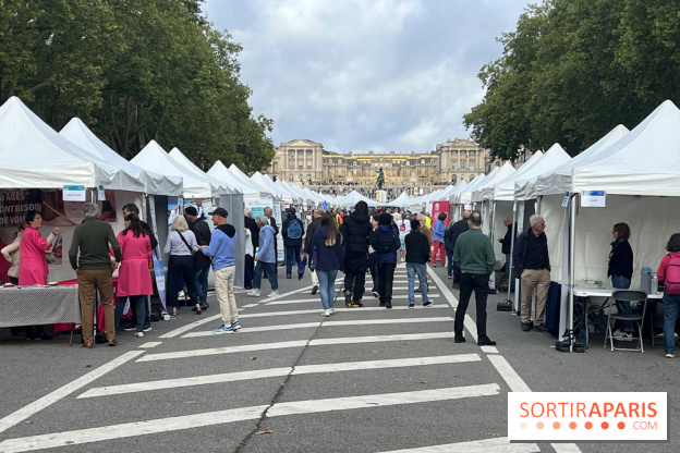 Brocantes et vide-greniers des Yvelines ce week-end dans le 78