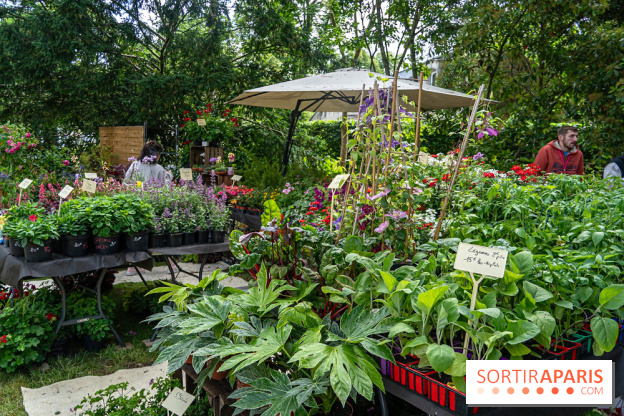 Seine-et-Marne : La Foire aux Plantes à Larchant 2026 : marché, troc et animations - 77