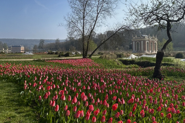 80 000 tulipes au Château de Dampierre en Yvelines ! Journée de la tulipe et Fête des plantes 