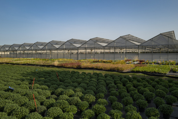Val d'Oise : des milliers de plantes aux Portes ouvertes du centre Horticole du Grand Paris